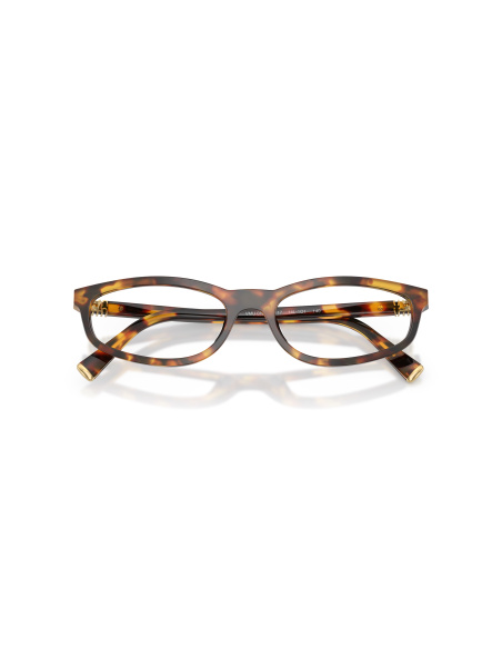 Miu Miu MU 01ZV_14L1O1 Havana Miele | Ottica Salvatore Munda