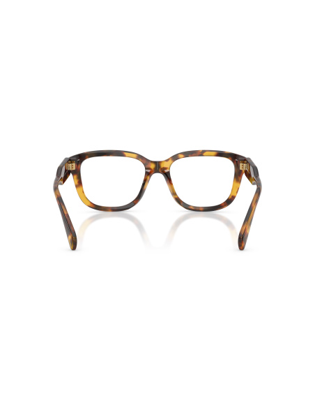 Miu Miu MU 02ZV_14L1O1 Havana Miele | Ottica Salvatore Munda