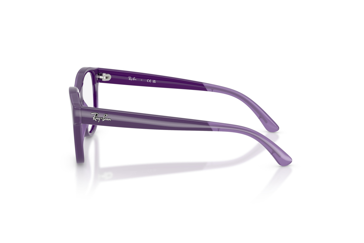 Ray-Ban RY1950_7206 Violetto su violetto trasparente