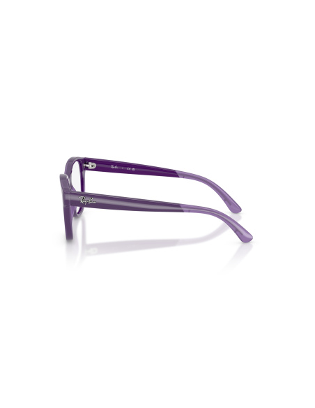 Ray-Ban RY1950_7206 Violetto su violetto trasparente