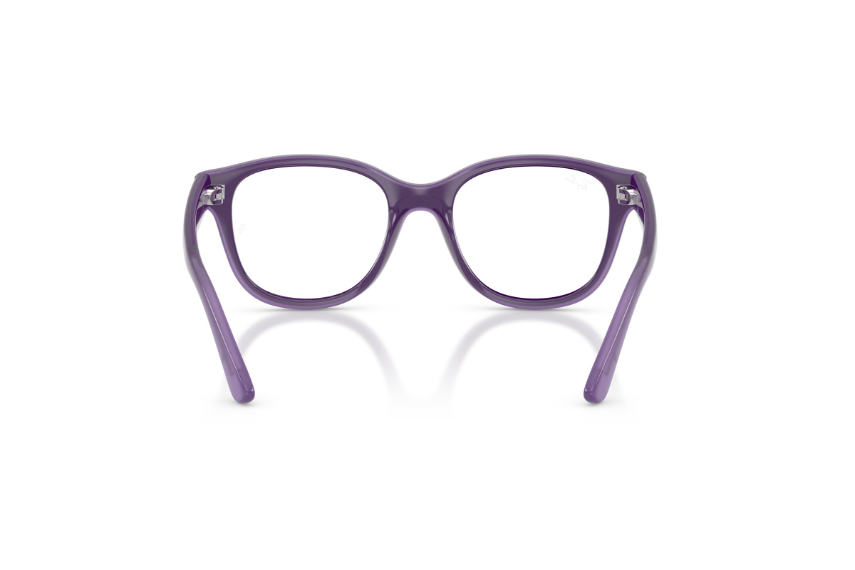 Ray-Ban RY1950_7206 Violetto su violetto trasparente
