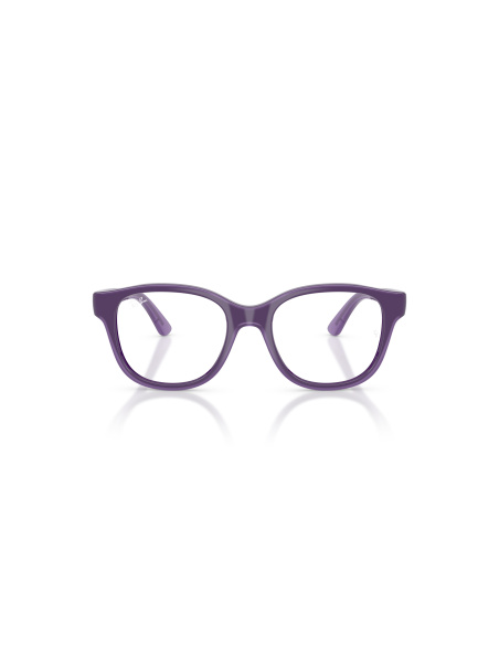Ray-Ban RY1950_7206 Violetto su violetto trasparente