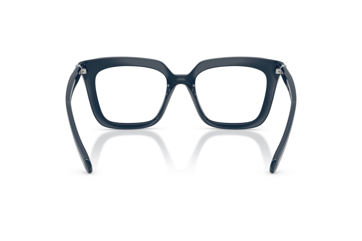 Swarovski SK2043_1004 Blu | Ottica Salvatore Munda