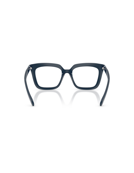 Swarovski SK2043_1004 Blu | Ottica Salvatore Munda