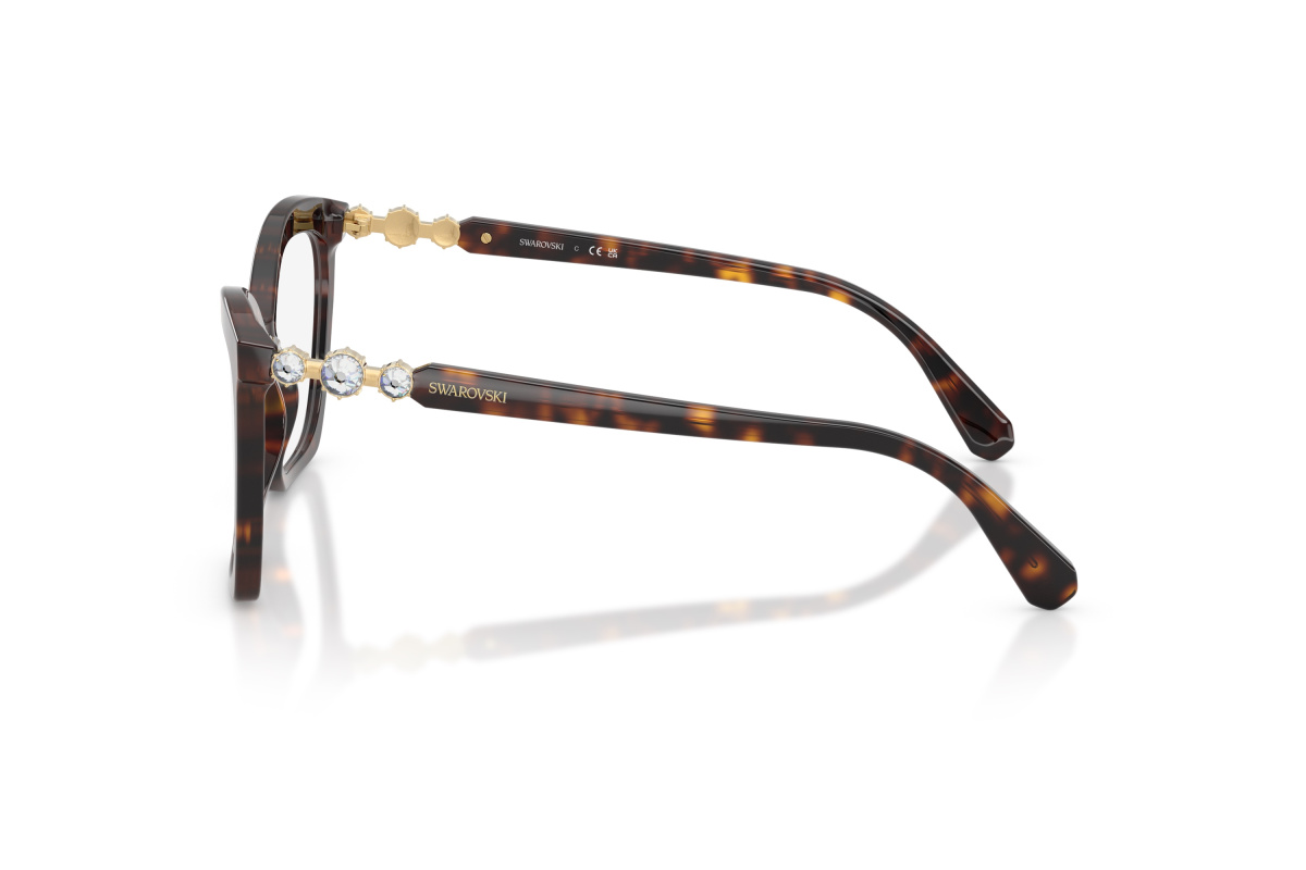 Swarovski SK2053_1002 Havana | Ottica Salvatore Munda