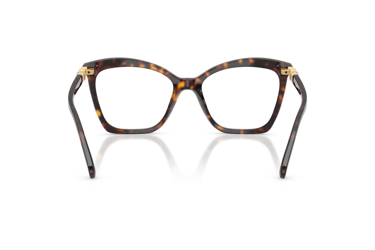 Swarovski SK2053_1002 Havana | Ottica Salvatore Munda