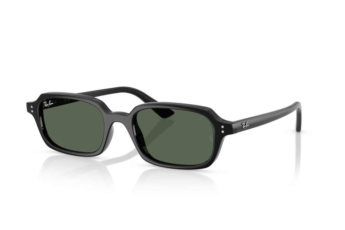 Ray-Ban RB4455_667771 Nero | Ottica Salvatore Munda