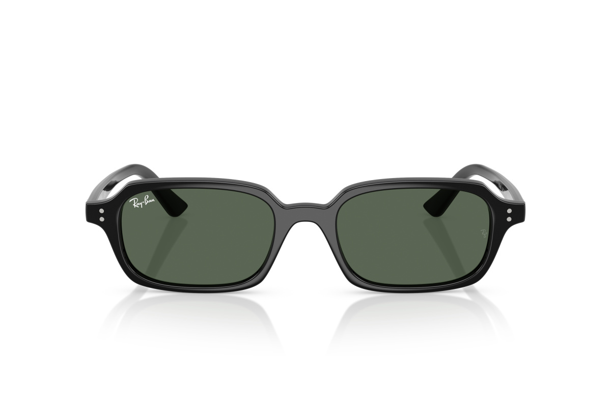 Ray-Ban RB4455_667771 Nero | Ottica Salvatore Munda
