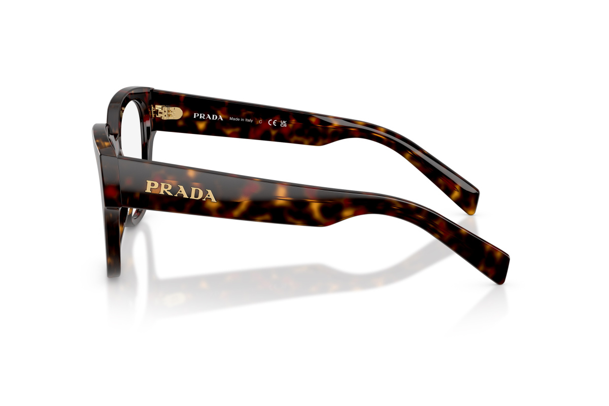 Prada PR C06V_17N1O1 Root tartarugato