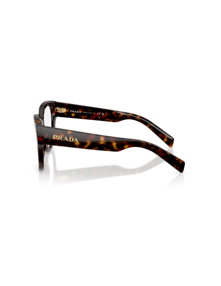 Prada PR C06V_17N1O1 Root tartarugato