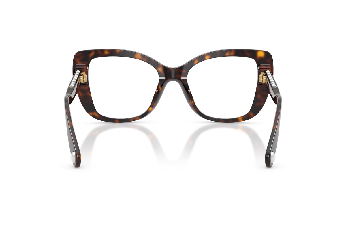 Swarovski SK2066U_1002 Havana | Ottica Salvatore Munda