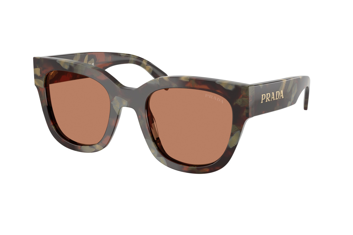 Prada PR C04S_22F90Q Woods Tortoise | Ottica Salvatore Munda