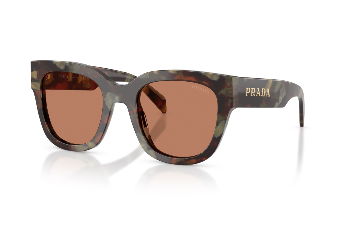 Prada PR C04S_22F90Q Woods Tortoise | Ottica Salvatore Munda
