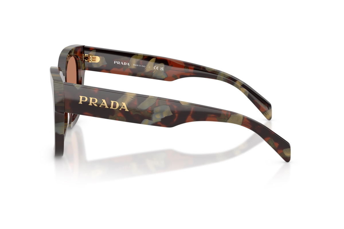 Prada PR C04S_22F90Q Woods Tortoise | Ottica Salvatore Munda