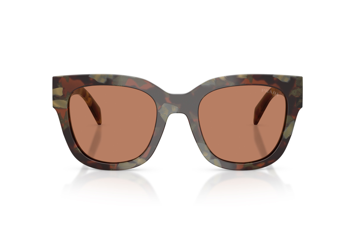 Prada PR C04S_22F90Q Woods Tortoise | Ottica Salvatore Munda