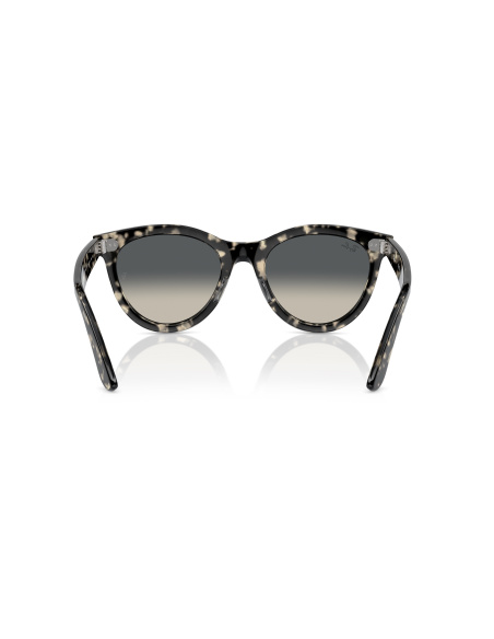 Ray-Ban RB2241_133371 Havana Grigio | Ottica Salvatore Munda